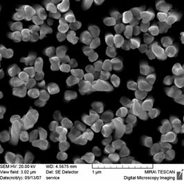 Fig.1: The process of metal nanostructure fabrication 2. Experiments Most of the experiments on the nanostructure growth were carried out using alumina membranes (Whatman Anodiscs) as templates.
