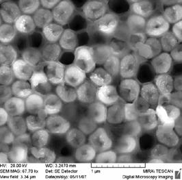 The nanostructures were examined by scanning electron microscopy (SEM) and the electroplating conditions which can affect the growth of nanostructures have been investigated. 3.