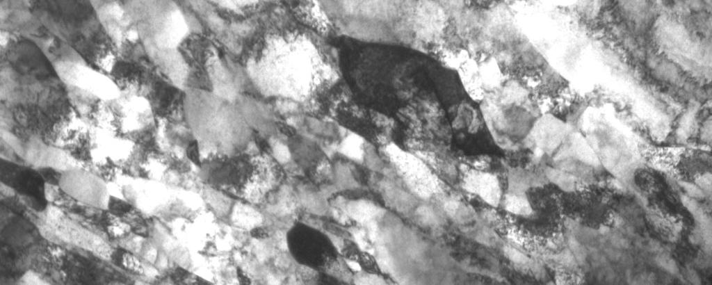 occurrence of cavities which nucleate along grain boundary (Fig.4). The relative fraction of high-angle grain boundary population was about ~ 60%. Fig.