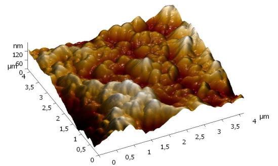 properties ensure only big-angle grain boundaries. From TEM analyses can be seen, that average grain size after the 10th ECAP pass is in the range 100 250 nm.