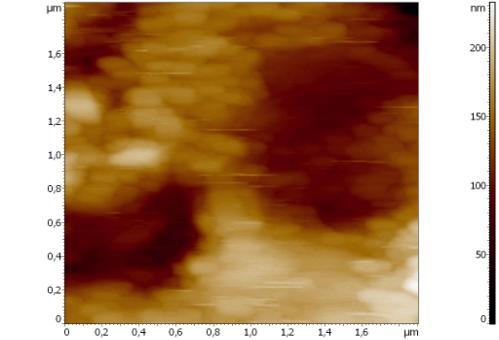 disorientation, as it is indication in [12]. Next method used for evaluation of average subgrain size was AFM. The Fig.