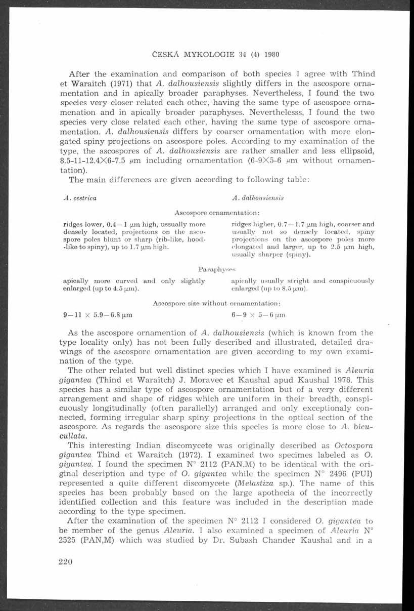 C E S K A M Y K O L O G E 34 (4) 1980 A fter th e exam ination and com parison of both species agree w ith T hind et W araitch (1971) th a t A.