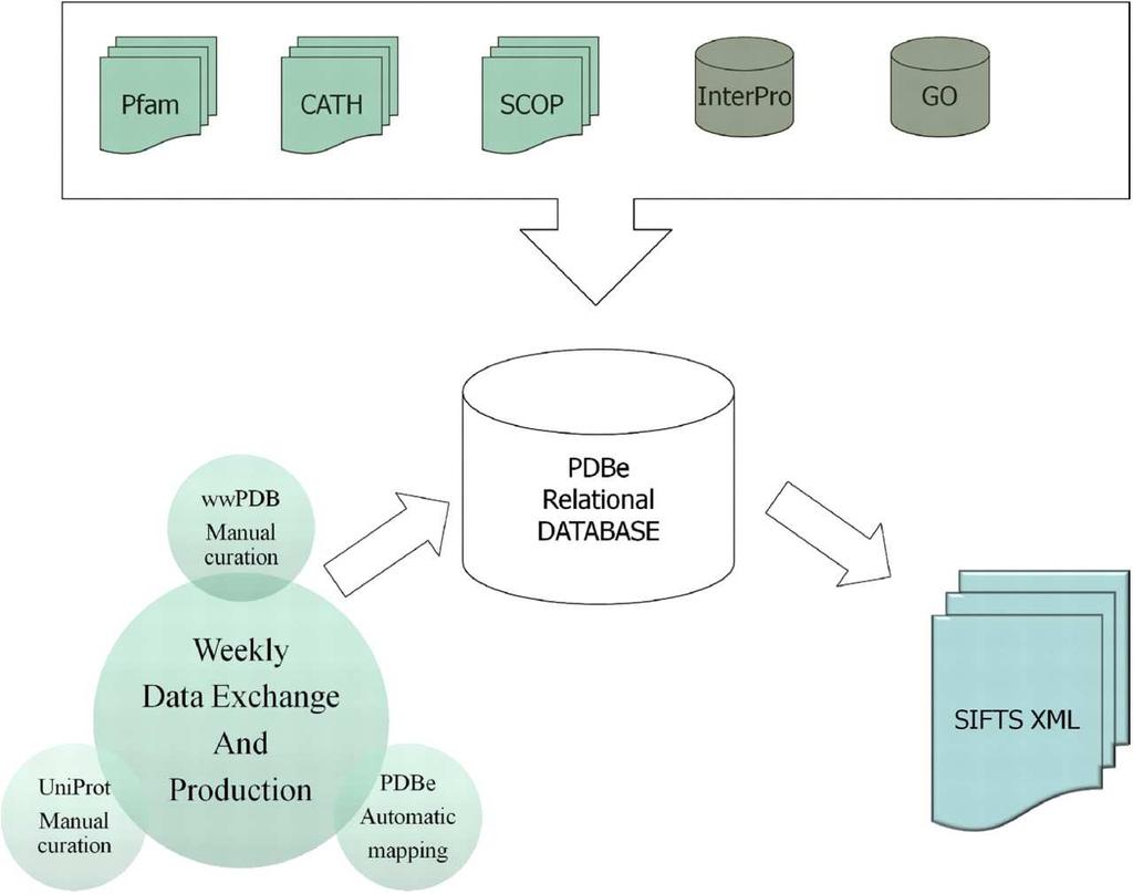 SIFTS format Structure Integration with Function, Taxonomy and Sequence Schematic overview of the process by which SIFTS files are