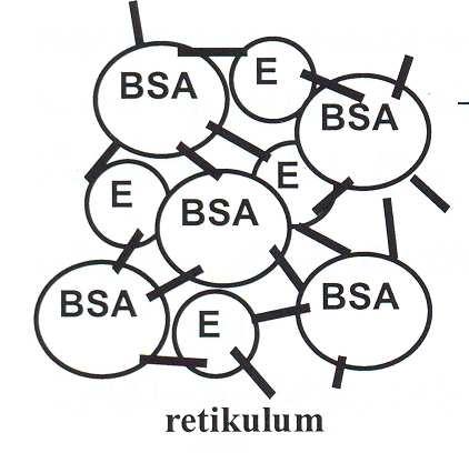 Nezreagované aldehydové skupiny se mohou neutralizovat reakcí s glycinem nebo ethanolaminem. Hmotnostní poměr glutaraldehydu : bílkovině = 1 : 1 aža 1 : 20, což ovlivňuje průchodnost membrány.