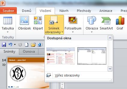 Výřez z obrazovky Vloţení Snímek z