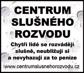30 hodin, ZŠ Vratislavova 13. S. Kubová, tel.: 723 153 505. 70letý ZTP - vozíčkář, vdovec z Prahy hledá ženu, která se cítí osamocena. Tel.: 792 489 468.