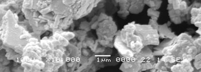 aqueous extracts prepared in 10% anticorrosive