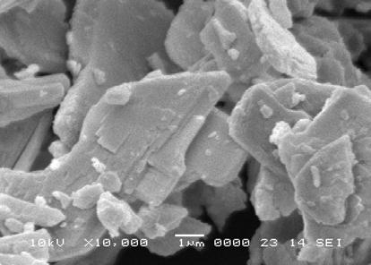 Morphology of pigment particles tested (SEM, Jeol