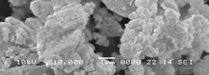 gravimetrically the mass loss (K), the corrosion
