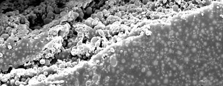 zinc particles-pigmented