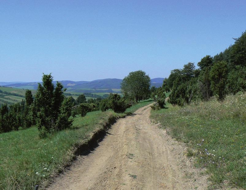 Věříme, že tento informační materiál povede k většímu porozumění a ke společné péči zemědělců a ochrany přírody o louky a pastviny nejen v Bílých Karpatech a Beskydech.