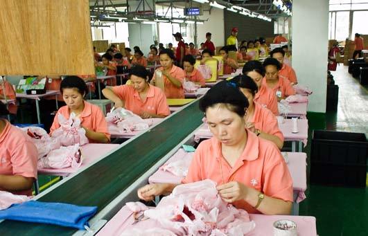 t é m a Naše zábava, jejich zničené zdraví 11 Tereza Hronová Tereza Hronová ilustrační Fair Aktion Katarína Šrámková NaZemi Pyrotechnika Made in China Silvestra si mnozí neumí představit bez