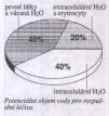 přestupu látky F = < 0,1 > čas, za který je resorbována polovina aktuálně přítomného xenobiotika = RESORPČNÍ POLOČAS t 0,5 DISTRIBUCE PROCES PŘI NĚMŢ DOCHÁZÍ K