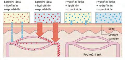 Transdermální vstup xenobiotik vliv stavu pokožky poranění (až intravenosní expozice!