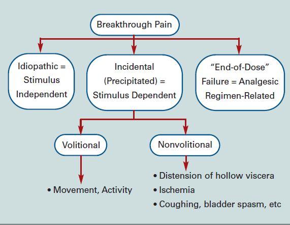 Management of Chronic Persistent Pain