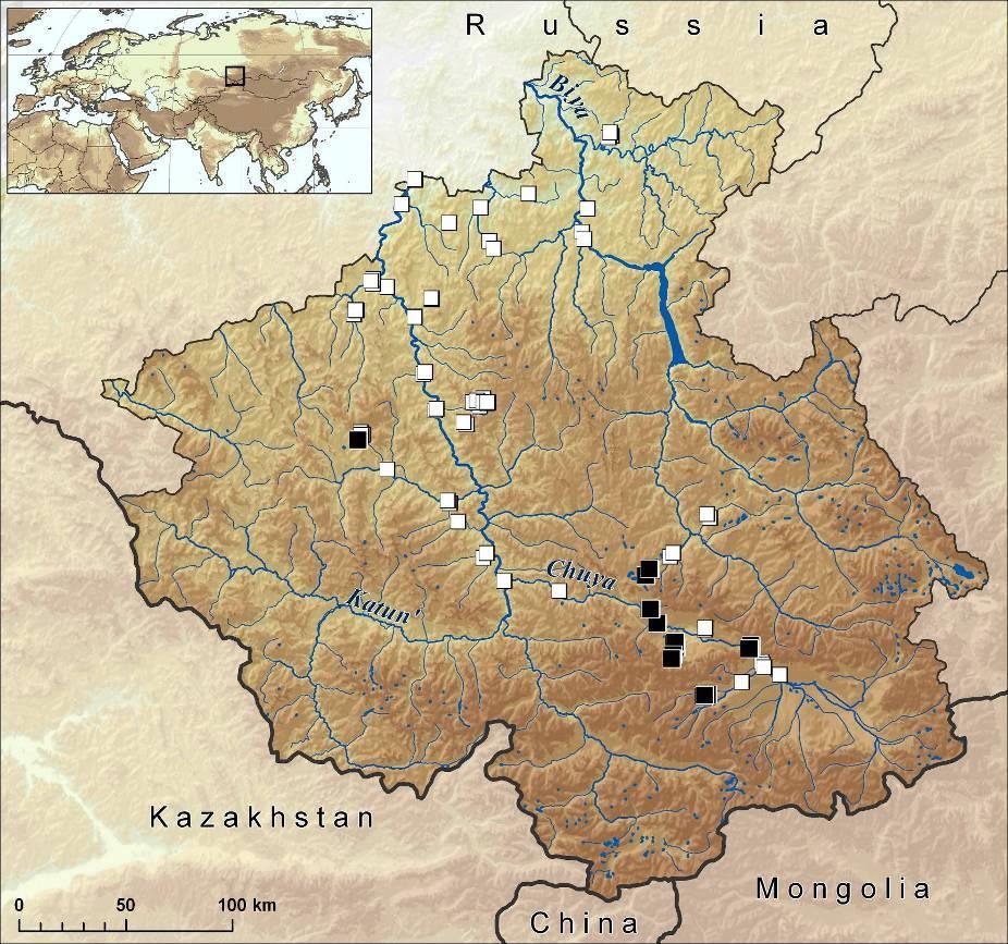 Indikační hodnota těchto glaciálních druhů pro paleorekostrukce Klasifikační strom roční srážky < 290 mm keře > 5 % stinná místa (les, údolí) žádní plži leden < -17 C