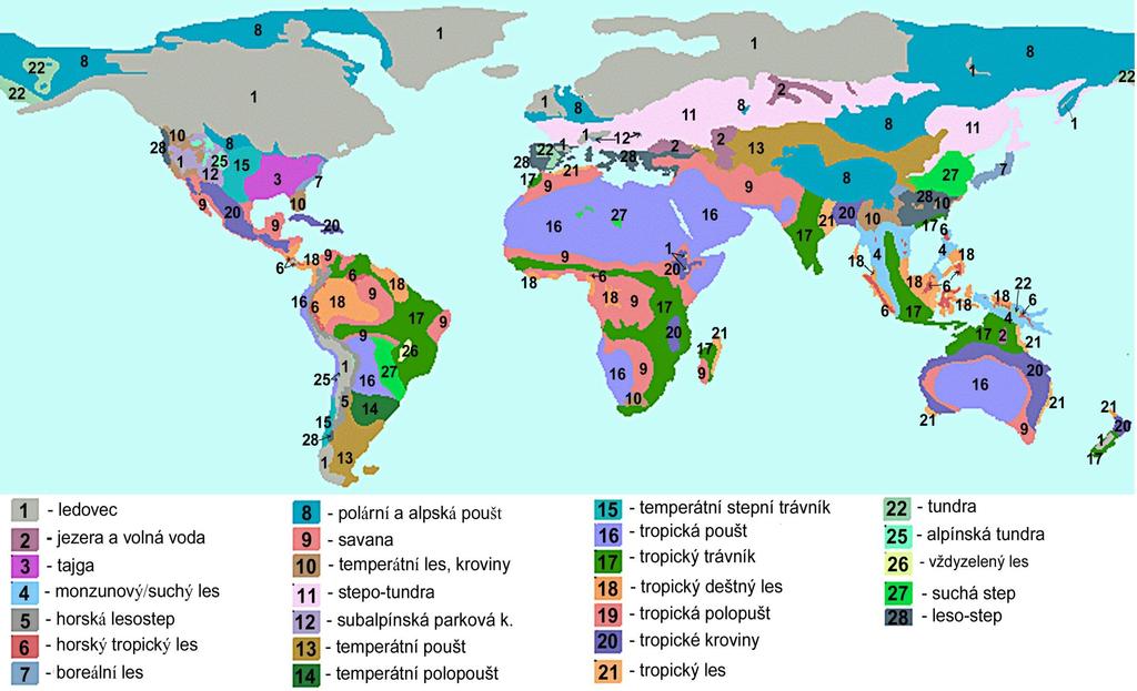 Rozmístění vegetačních typů během LGM vegetační mapa světa při posledním vrcholném zalednění ledovce (trvalý led) jezero, volná voda tajga monzunový/suchý les horská mozaika horský tropický les