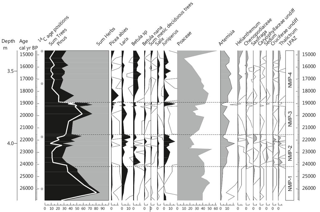 Step a tundra ve vrcholném glaciálu severní Maďarsko pylový diagram Nagymohos: směs