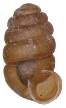 stanoviště: 1.