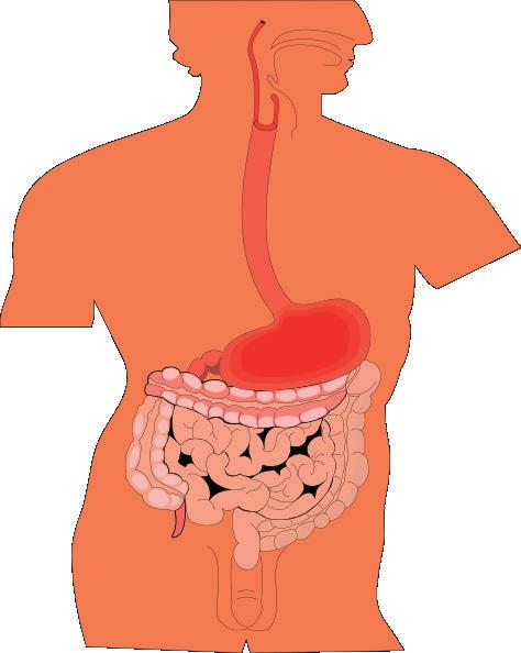 Dendrimery se dají také použít při léčbě rakoviny, a to např.