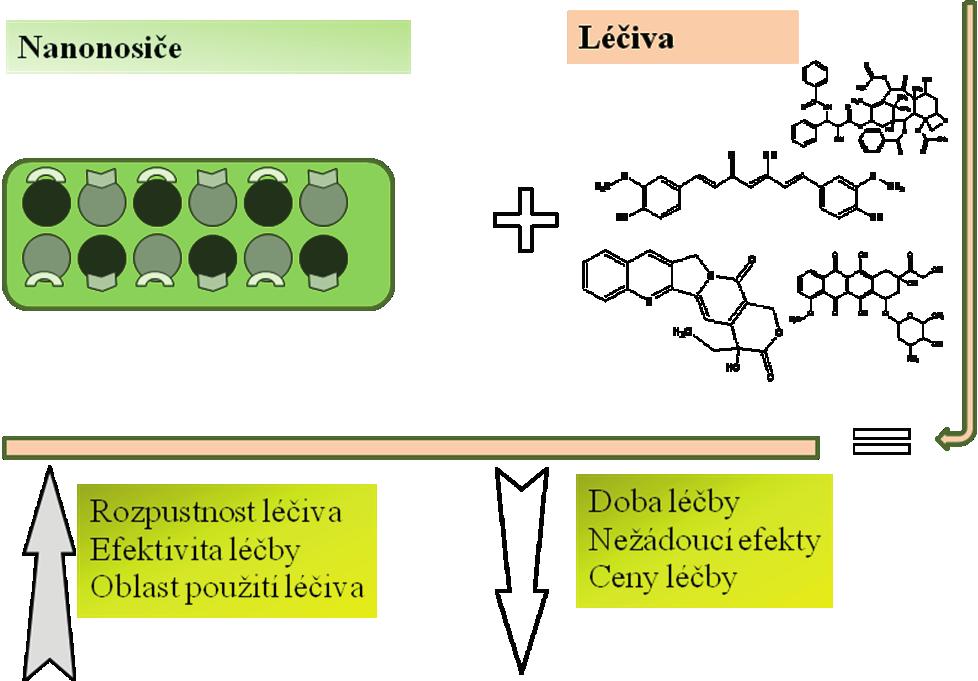 Při transportu léčiv magnetickými nanočásticemi např. do nádoru se výhodně používá magnetických vlastností těchto nanočástic [15].