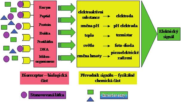 1 Úvod V prosinci roku 1959 vystoupil americký fyzik a pozdější nositel Nobelovy ceny za fyziku Richard Phillips Feynman na konferenci Americké asociace fyziků, kde prohlásil, že na základě jeho