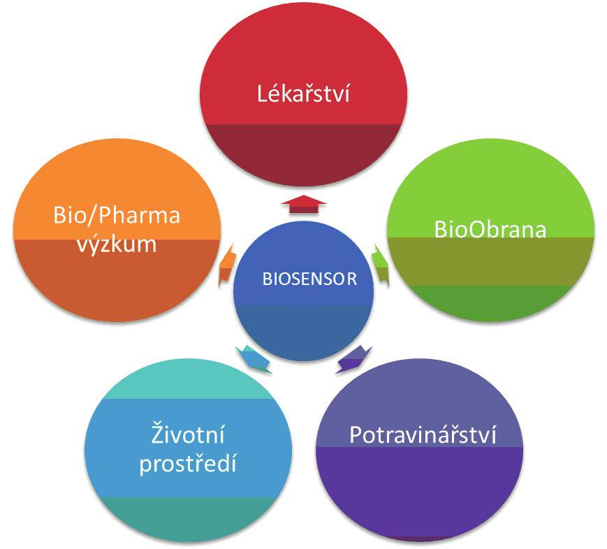 biokompatibilitu, kinetiku a modelování, neinvazivní monitorování, interakce na rozhraních, chemické procesy v pevné fázi a chemometrii.