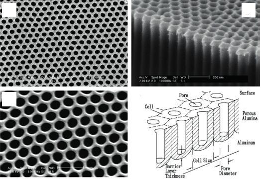 2.3 Electrochemical Methods Electrochemical methods, in particular electrochemical anodization, can be used for fabrication of nanoporous metal oxide structures from different valve metals (Al, Ti,