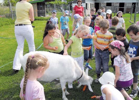 Kurátorka a riaditeľka výstavy zaslala pedagógom veľké poďakovanie, ku ktorému sa pripájajú aj rodičia detí výtvarného krúžku Farbuška.