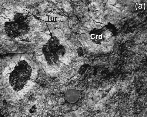 Bull. mineral.-petrolog. Odd. Nár. Muz. (Praha) 20, 1, 2012. ISSN 1211-0329 (print); 1804-6495 (online) 53 kontaktu s durbachity typu Čertovo břemeno.