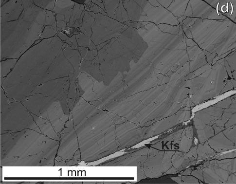 Detekční limity se pro jednotlivé prvky pohybovaly mezi 100-1000 ppm, statistická chyba (1σ) v závislosti na analytických podmínkách mezi 0.02-0.4 hm. %.