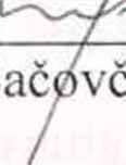 /J Martina B inová A /Andriv PruJkyy f ' / 7 Anjía Bogricová Ľudmila Kocanová Alexa lexander Franko ( ' '