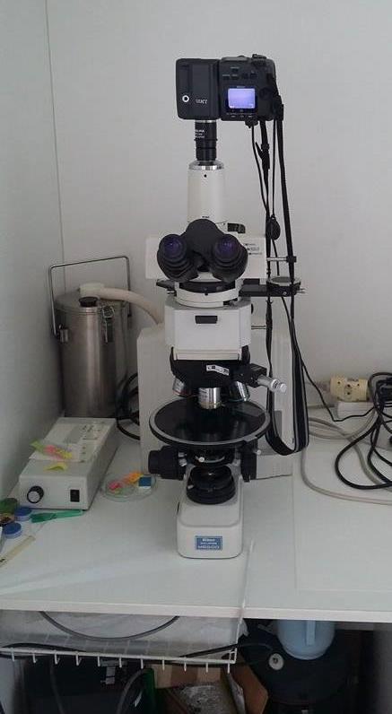 EXPERIMENTÁLNÍ ČÁST Výsledkem měření je, že otáčky extrudéru mají jen zanedbatelný vliv na barevný odstín, kdy největší změna byla zaznamenána u parametru L* a b* pro vzorek bez pigmentu.