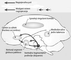 izvajanju aktivnosti kljub škodi, ki jo s tem povzročimo sebi. Mednje sodijo, npr. nevarnost okužb, izguba službe, sredstev preživljanja, izguba doma.
