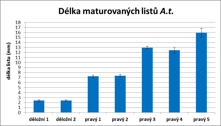 Graf 2: Graf znázorňující konečné délky maturovaných listů Arabidopsis thaliana Col-0 (WT).