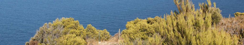 Mediteránní