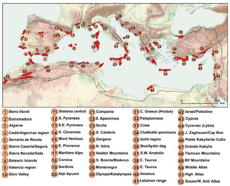 Biodiverzita Hypotetická mediteránní glaciální refugia (podle