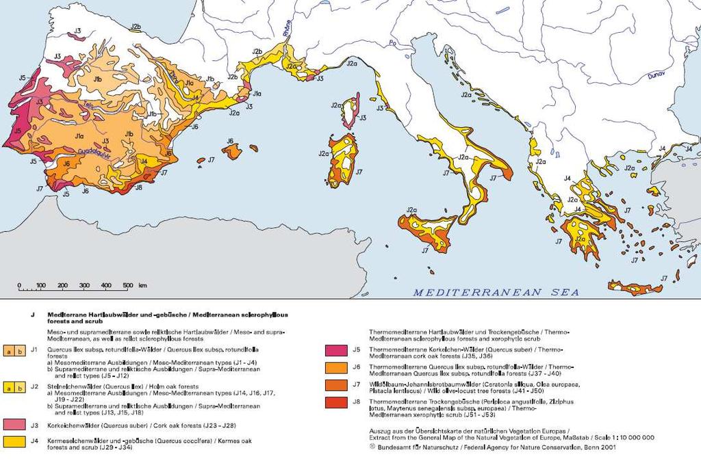 Vymezení mediteránní oblasti Bohn et al.