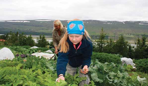 mikil. Nú eru um 320 garðar á svæðinu og hefur Jóhann áform um að bæta við fyrir næsta vor.