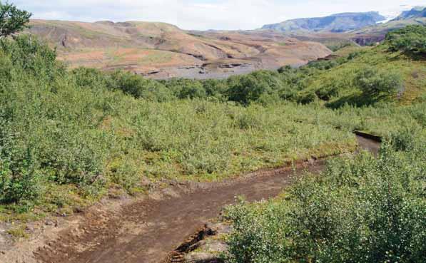 Bændablaðið Fimmtudagur 22. ágúst 2013 33 Lesendabás Afleiðingar beitarþolsútreikninga Sem betur fer hefur ekkert lát verið á umfjöllun og skrifum um landnýtingu á Almenningum í Bændablaðinu í sumar.