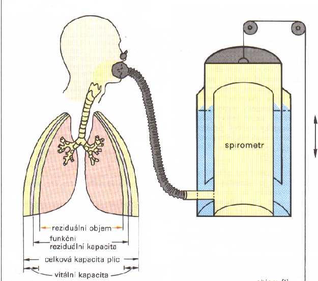 Ventilace Vt 20.. 500ml (6ml/kg) f 40.