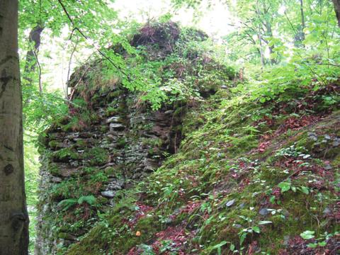 Characteristic landscape elements of this range are cliffs and talus slopes inhabited by Clausila parvula, Laciniaria plicata, Vertigo alpestris, Helicigona lapicida, Isognomostoma isognomostomos.