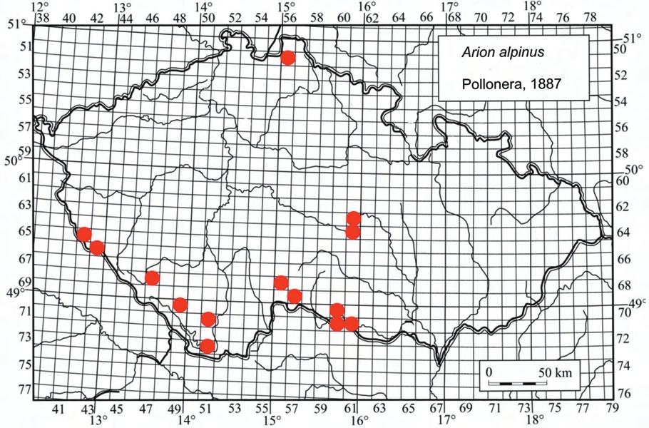 Obr. 5. Současné rozšíření druhu Arion alpinus na území České republiky. Fig. 5. Current distribution of Arion alpinus in the Czech Republic.