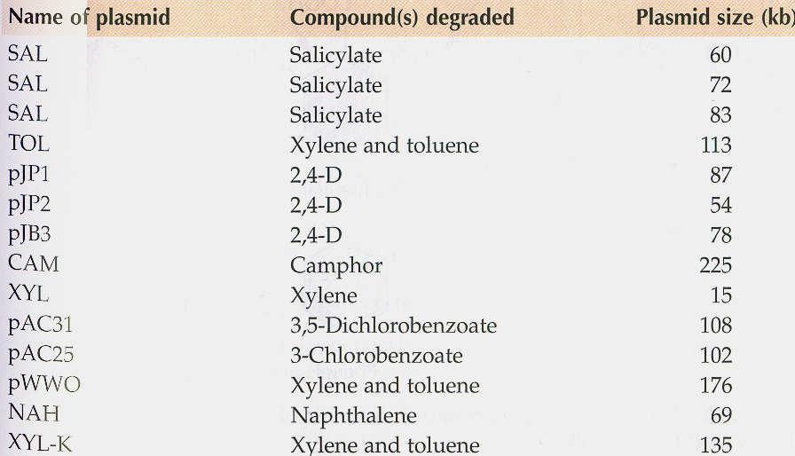 Plazmidy Pseudomonas (G-) s degradačními