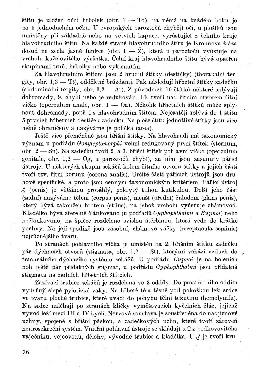štítu je uložen oční hrbolek (obr. 1 To), na němž na každém boku j e po 1 jednoduchém očku.