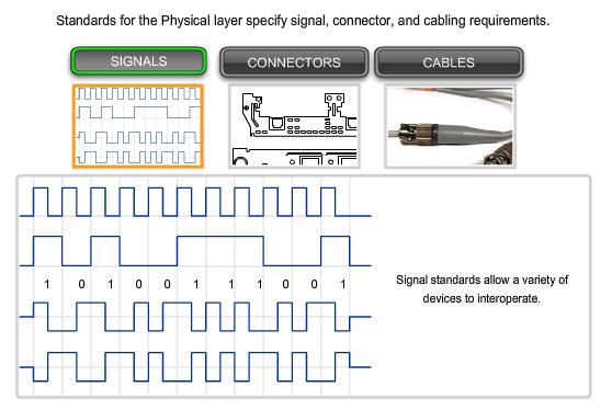 Fyzická vrstva (Physical layer) První vrstva modelu vrstvové síťové