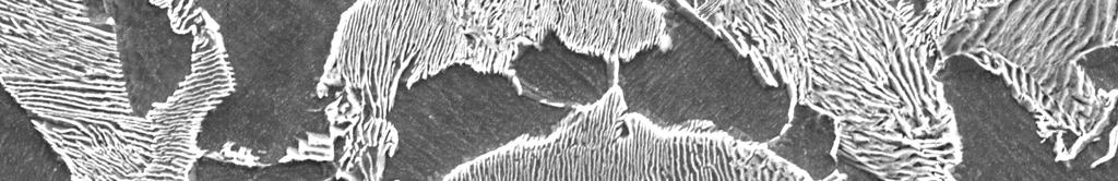 Initial ferrite-pearlite structure of AISI 1045 steel after heat treatment.