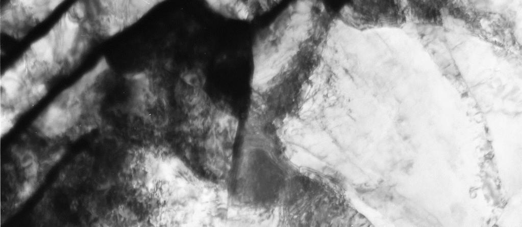 This polygonized structure may provide evidence that formation of well-defined grain boundaries would be attributed to a recovery and recrystallization process.