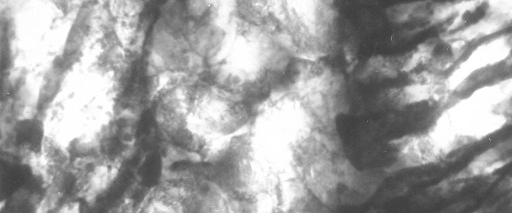 5 (N-5 passes) and εef ~ 4 (N-6 passes) the subgrains appears more frequently due to polygonization processes and higher stored straining.