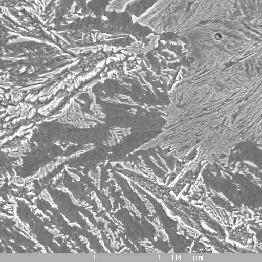 bainitického materiálu, a to bez doprovodné mezivrstvy zmiňované odlišné fáze - obr. 7. Obr. 6 Typická stavba rozhraní (zv. 250x) Fig. 6 Typical structure of the boundary (Magn.250x) Obr.